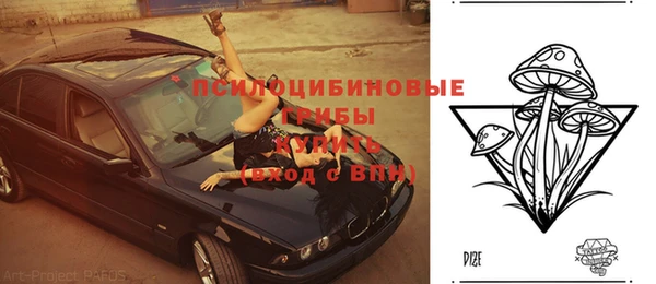 хмурый Надым